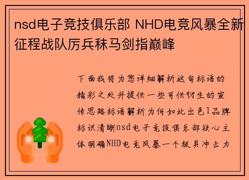 nsd电子竞技俱乐部 NHD电竞风暴全新征程战队厉兵秣马剑指巅峰